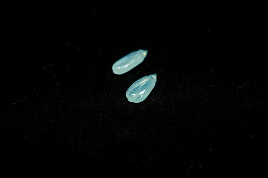Twin Blossoms · Ice Jadeite Magnolia Pair (Customizable for Earrings)