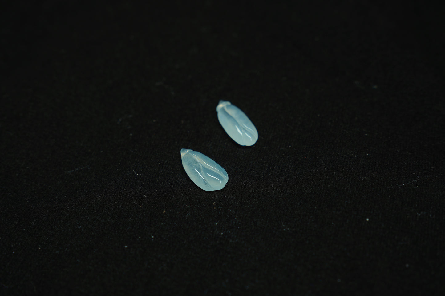 Two small blue objects on a black background