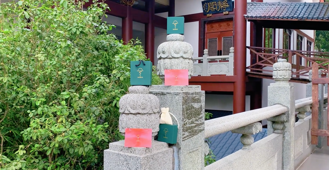 First Sunrise, First Blessings: Our 2026 Temple Pilgrimage