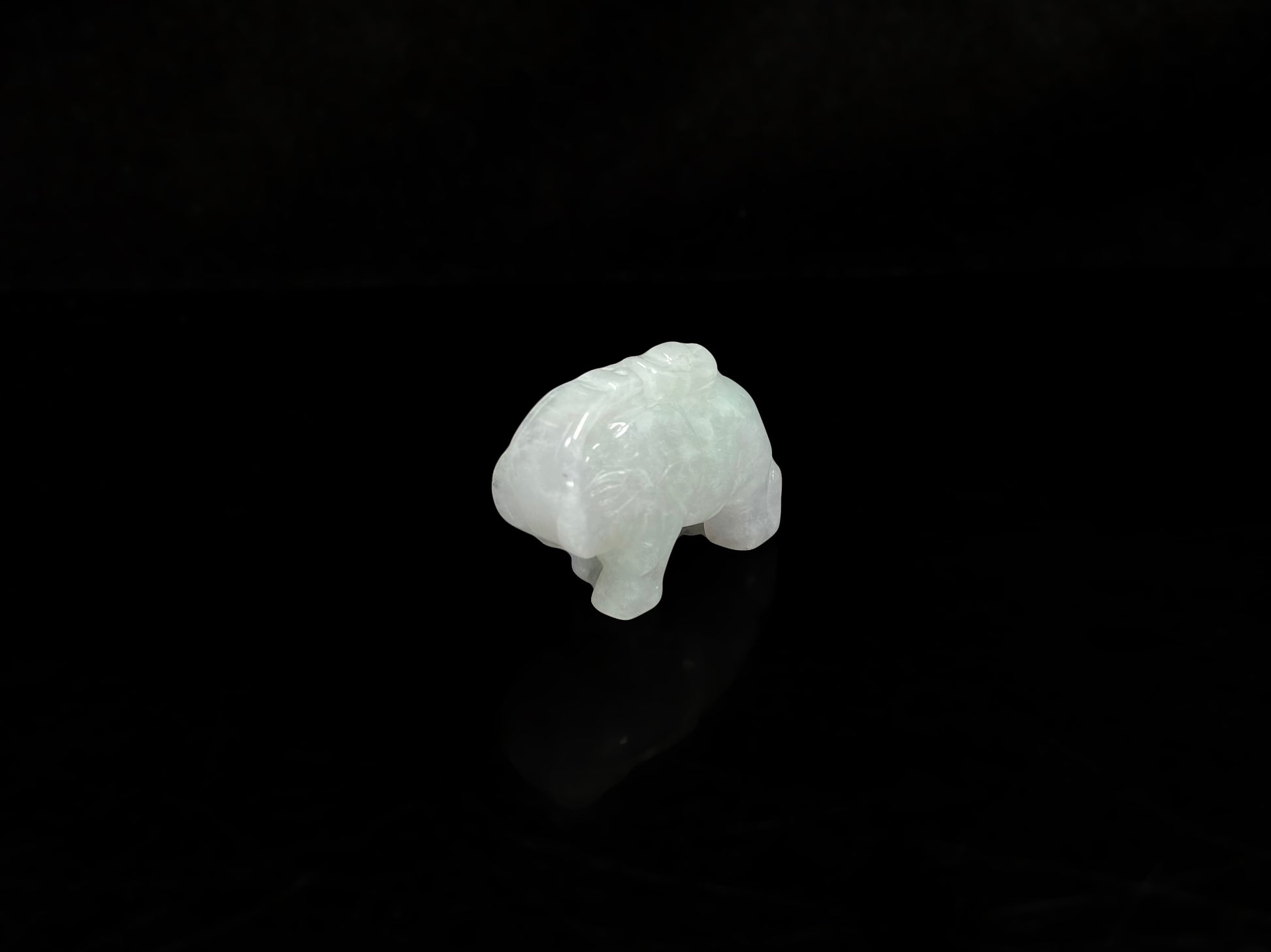 A icy white lucky elephant blessing  loose jadeite.