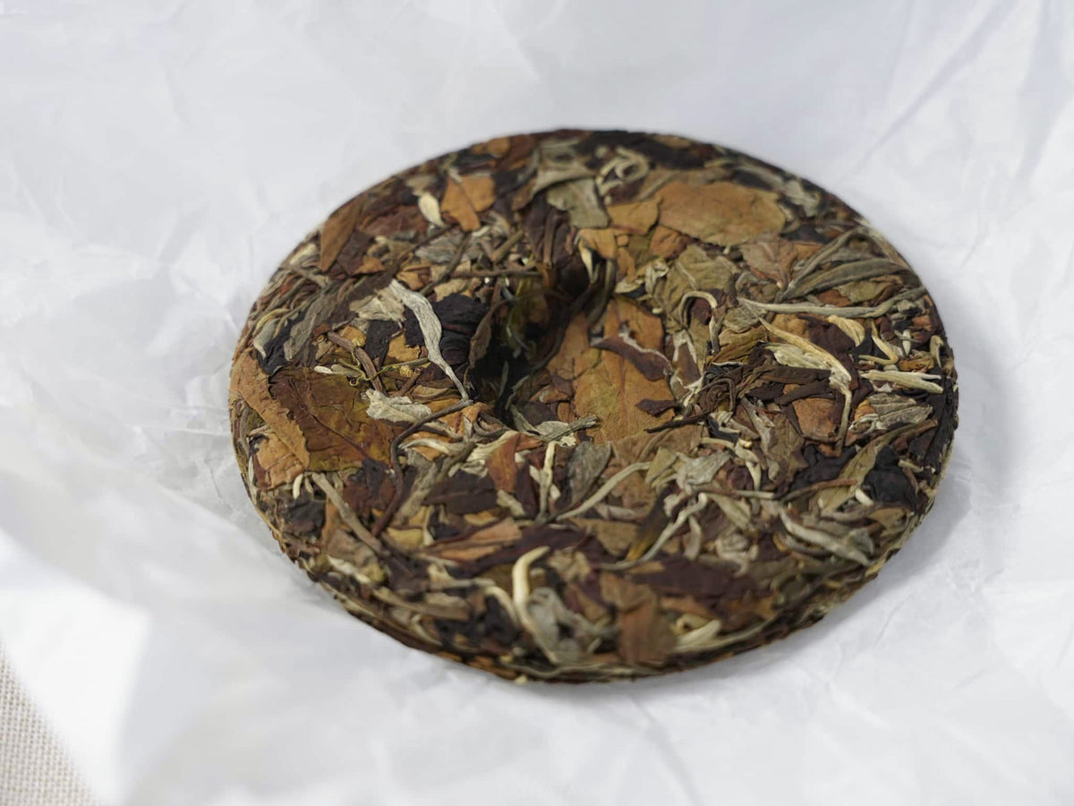 This unwrapped, round cake of Bingdao white tea reveals the natural, dried texture and rich coloration characteristic of ancient-tree white tea from Yunnan. 