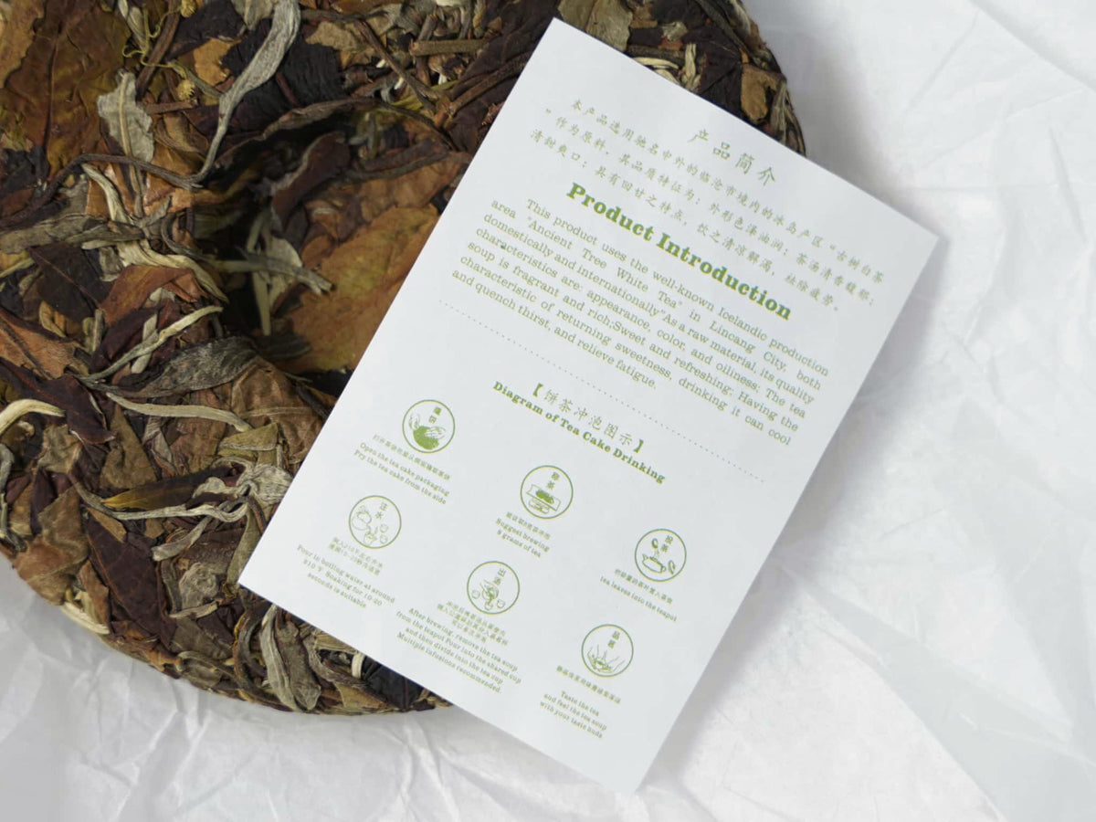 A sheet of white paper printed with product information and step-by-step brewing instructions is placed on the surface of the Bingdao ancient-tree white tea cake.