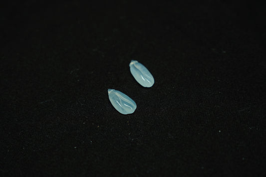 Two small blue objects on a black background