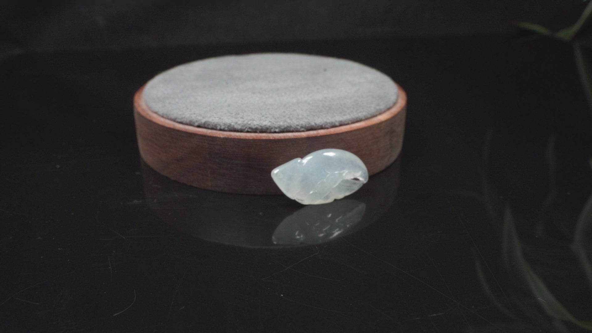 Icy translucent white crab claw loose jadieite.