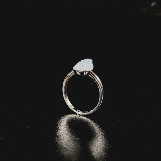 A frosty white fortune pixiu jadeite earrings ring.