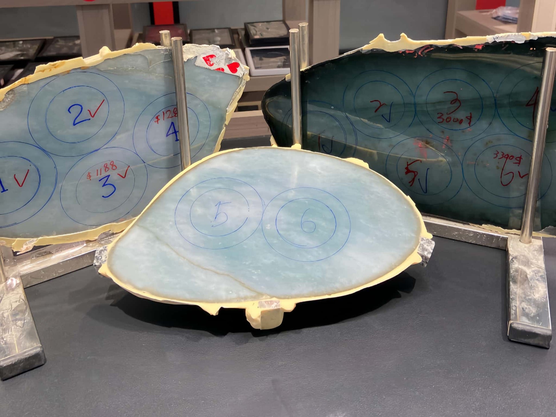 Large shell with concentric circles and measurements on a gray surface. Multi-purpose Carving of Jadeite Rough Stones & Custom Bangle Services